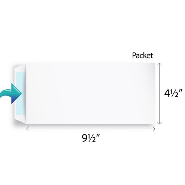White Envelope 4.5 x 9.5 Inch (Pack of 10)